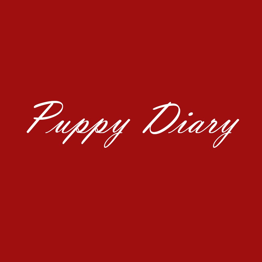 Puppy Diary 小狗日记