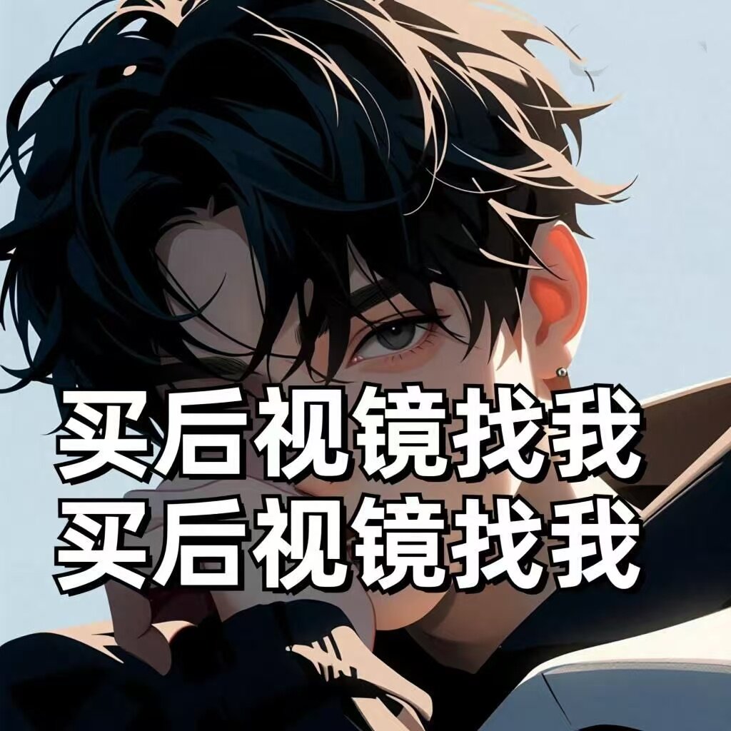 策创后视镜大全 店铺LOGO