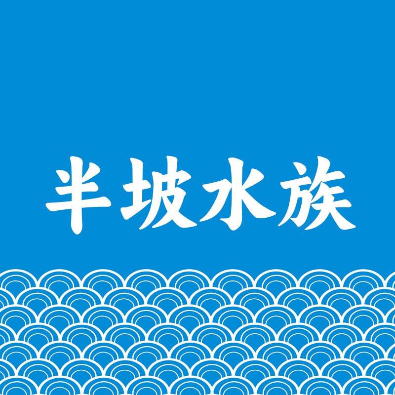 半坡水族 观背青鳉鱼