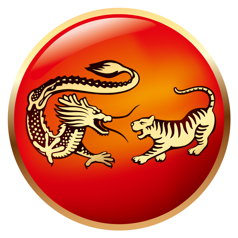 龙虎旗舰店