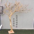 景星艺树