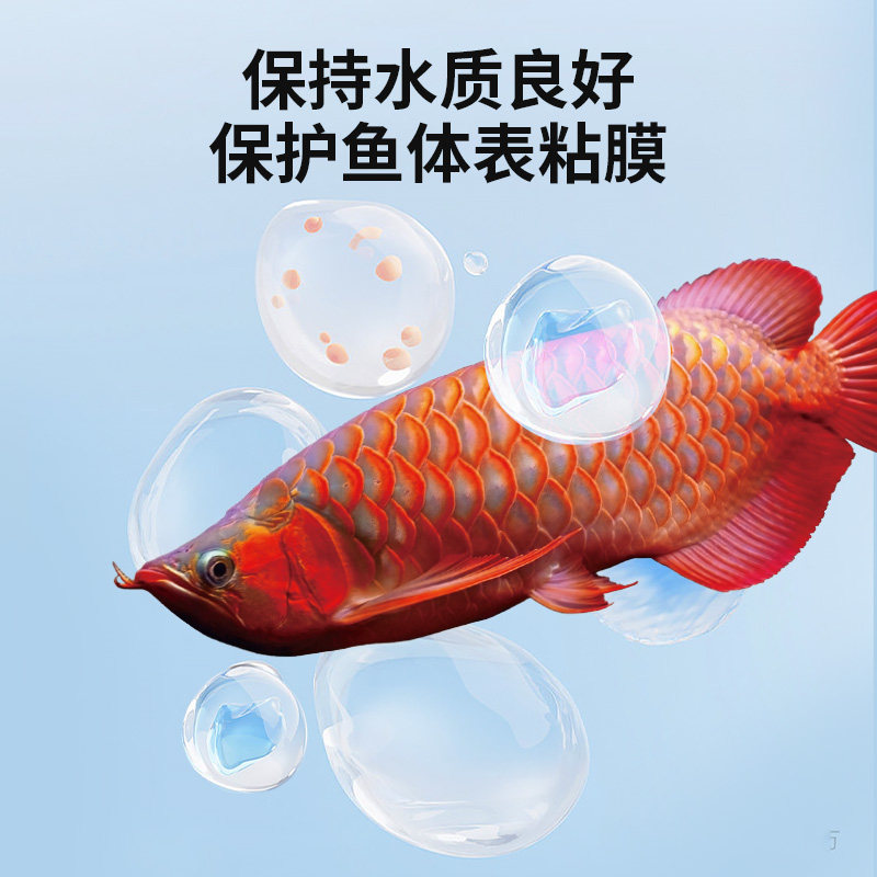 美彩宠物水族