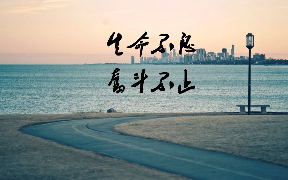 梵呈画业 店铺LOGO