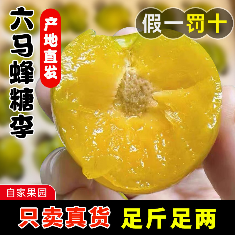 向大爷蜂糖李 第六年