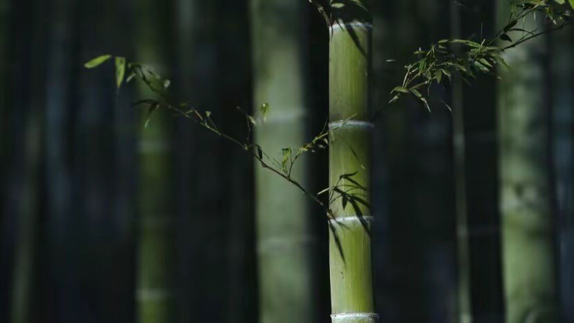 笛箫之声