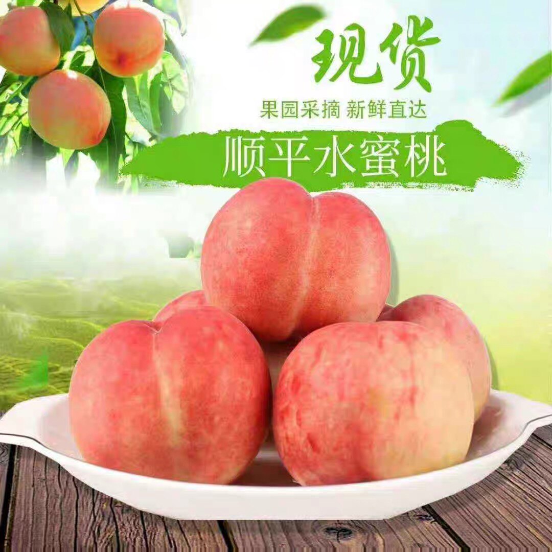 顺平伊祁山水果甄选
