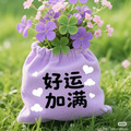 芯联芯科技