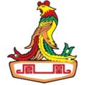 上海凤凰医疗集团官方