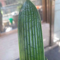 晨菲设计