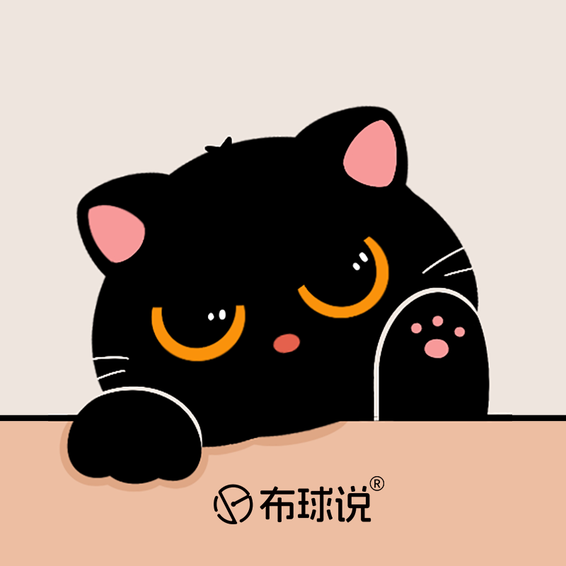 布球说品牌店