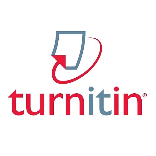 Turnitin AI专供店