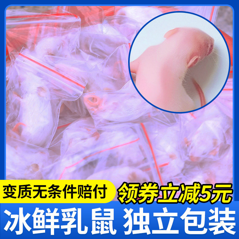 广农爬宠大型养殖场