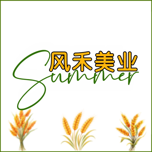 风禾美业