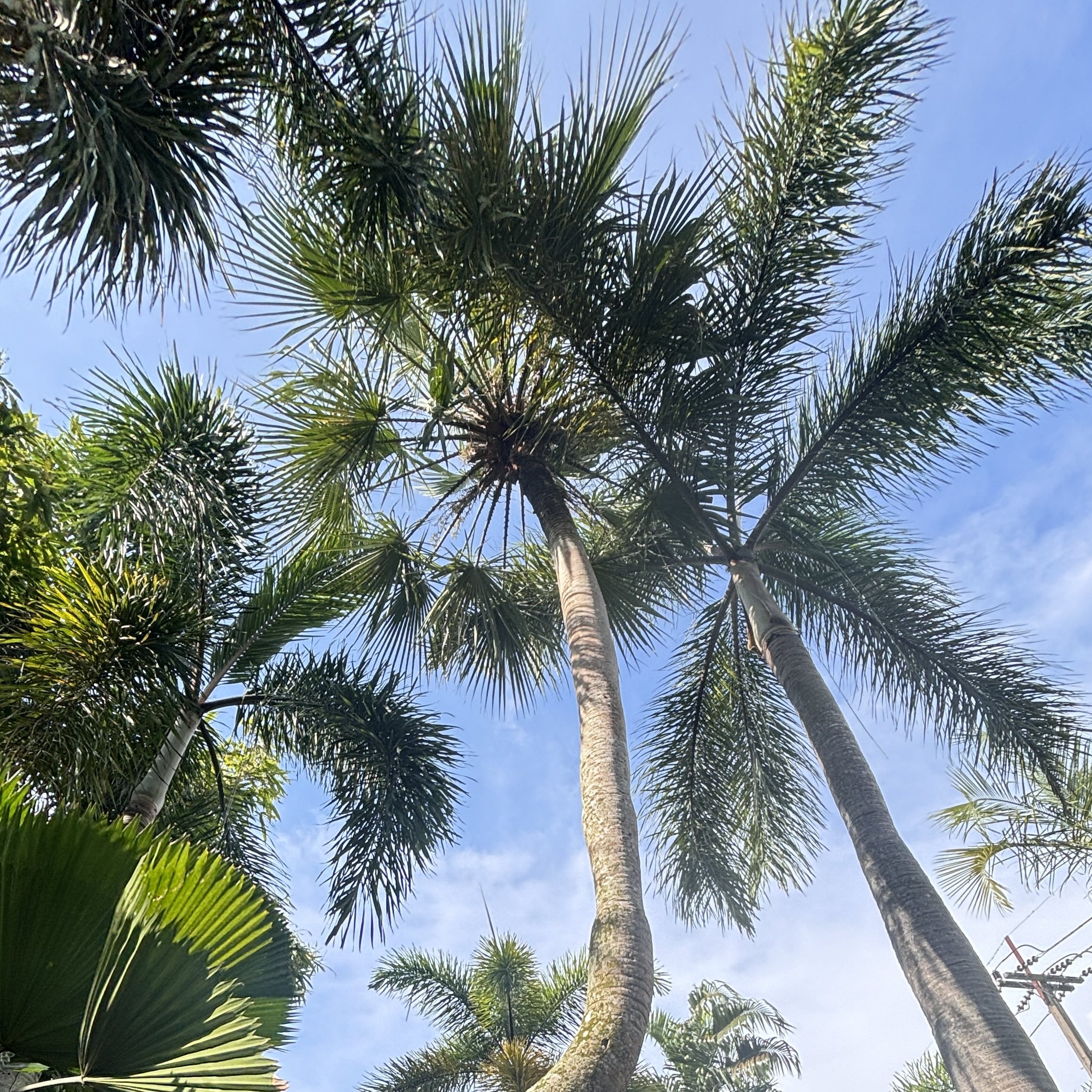小六泰国购