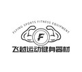 飞越运动健身器材