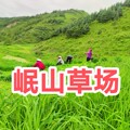 岷山草场