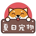 夏日宠物