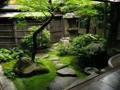 雲植