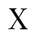 XPHOTO品牌店