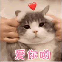 周周爱护肤