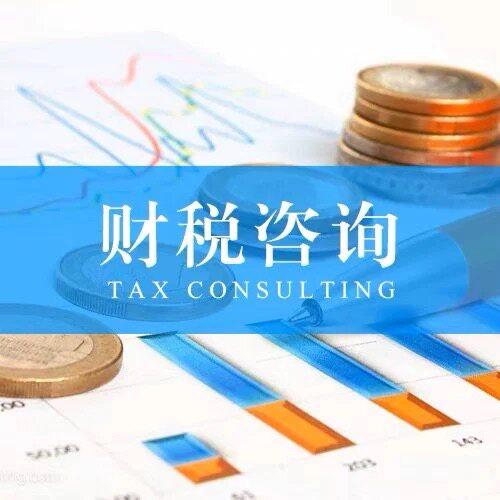 斯诺财税研究院