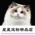 星星宠物精品店