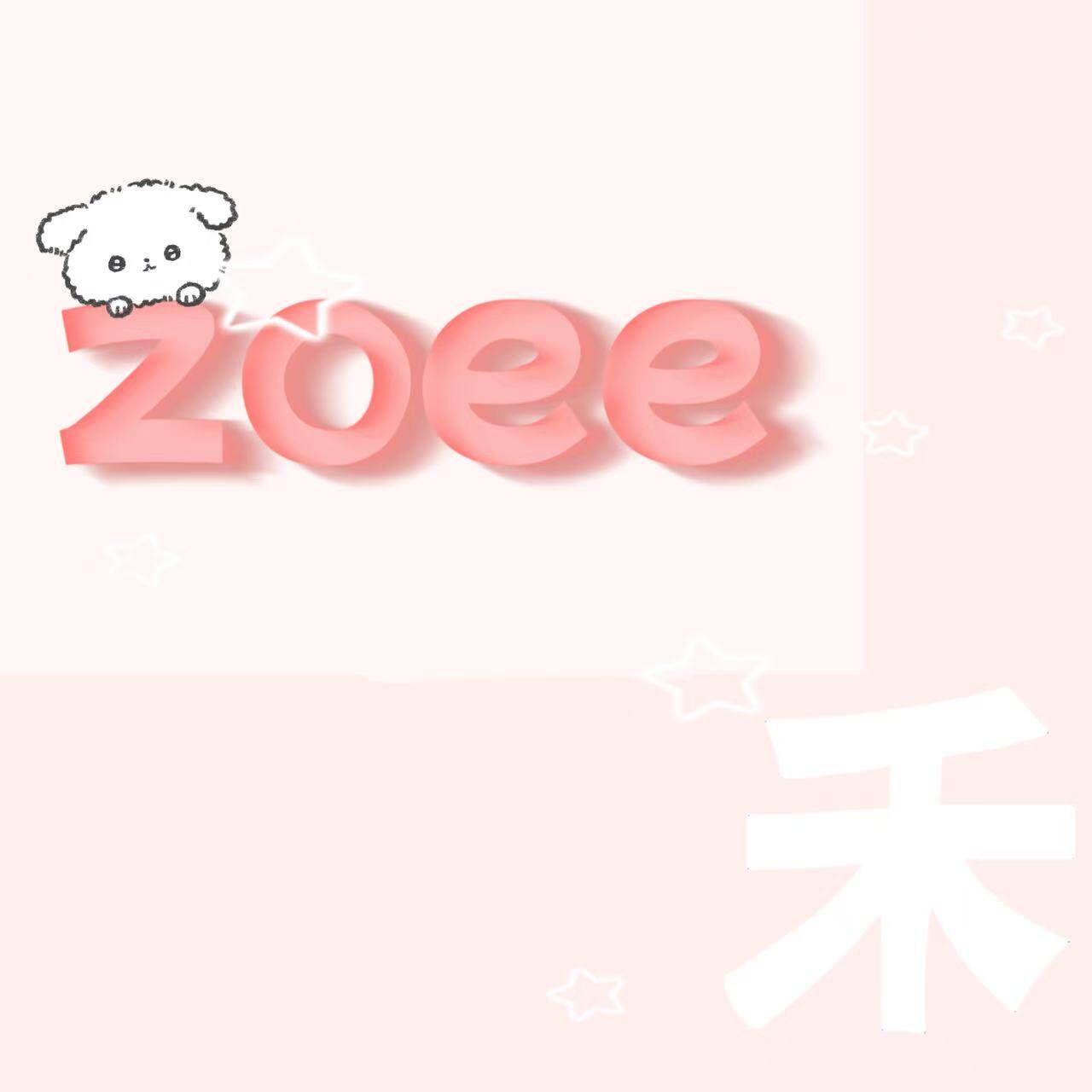 Zoee 禾 店铺LOGO