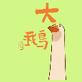 大鹅资料