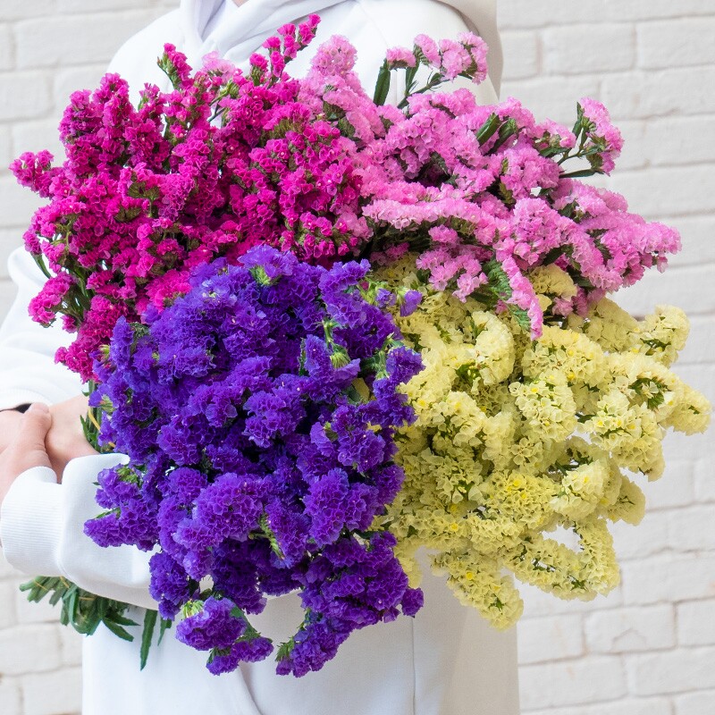 柠檬花屋