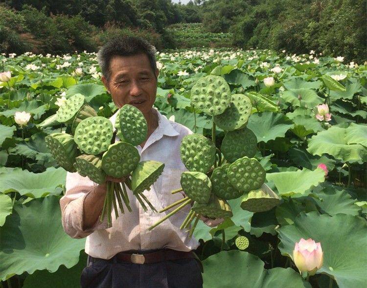 小何农家店