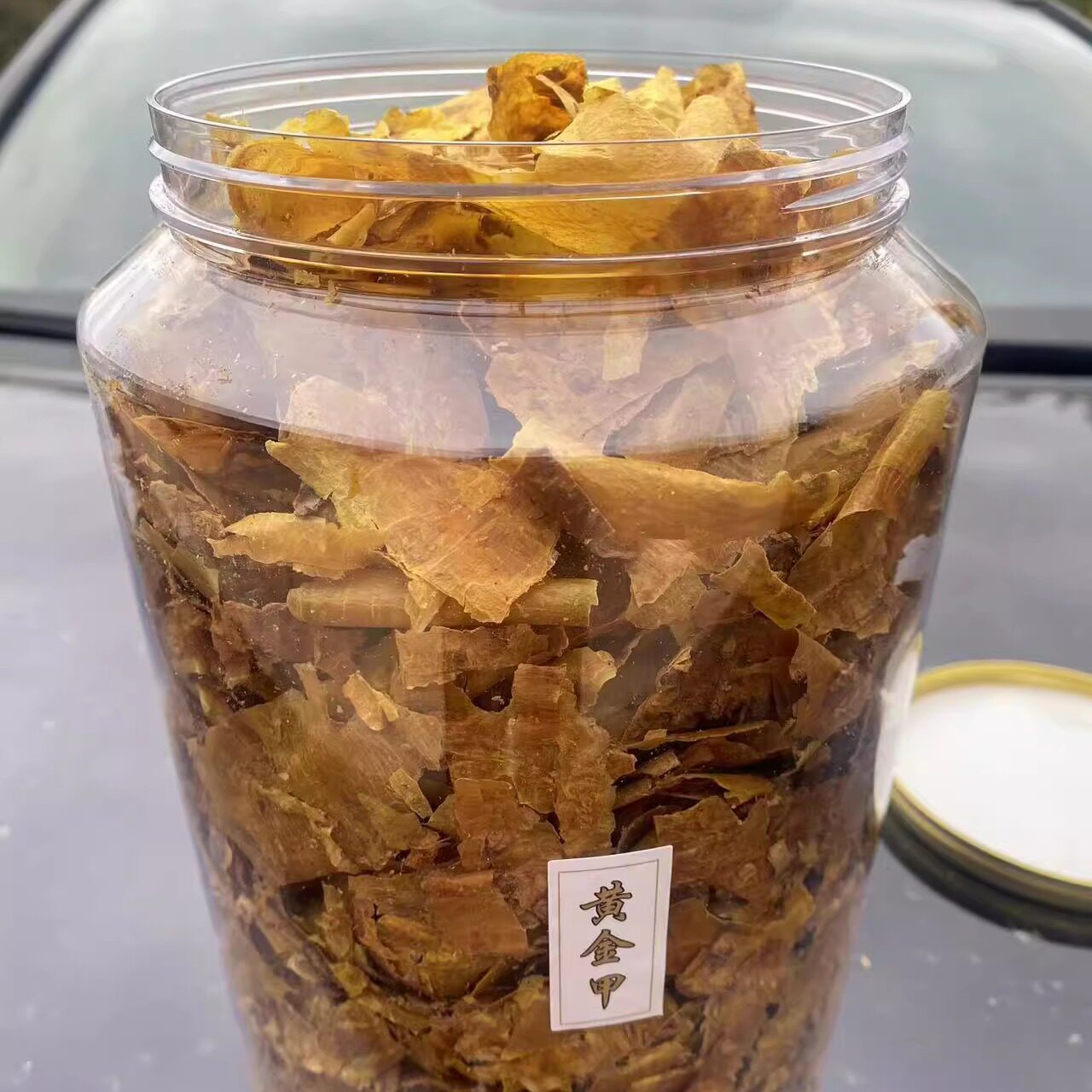 感引鹤降 店铺LOGO