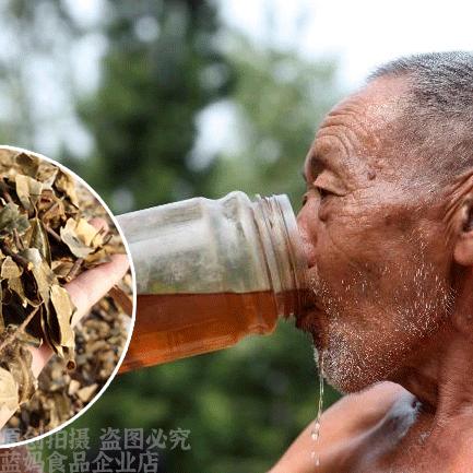 川渝老鹰茶产地直发