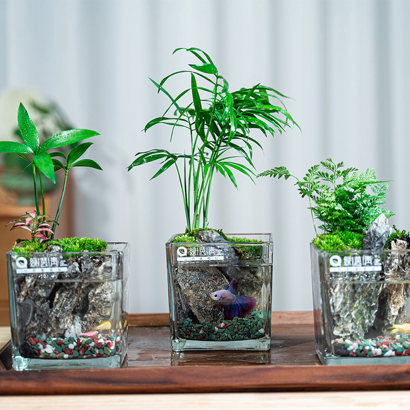 绿茵青植物工厂店