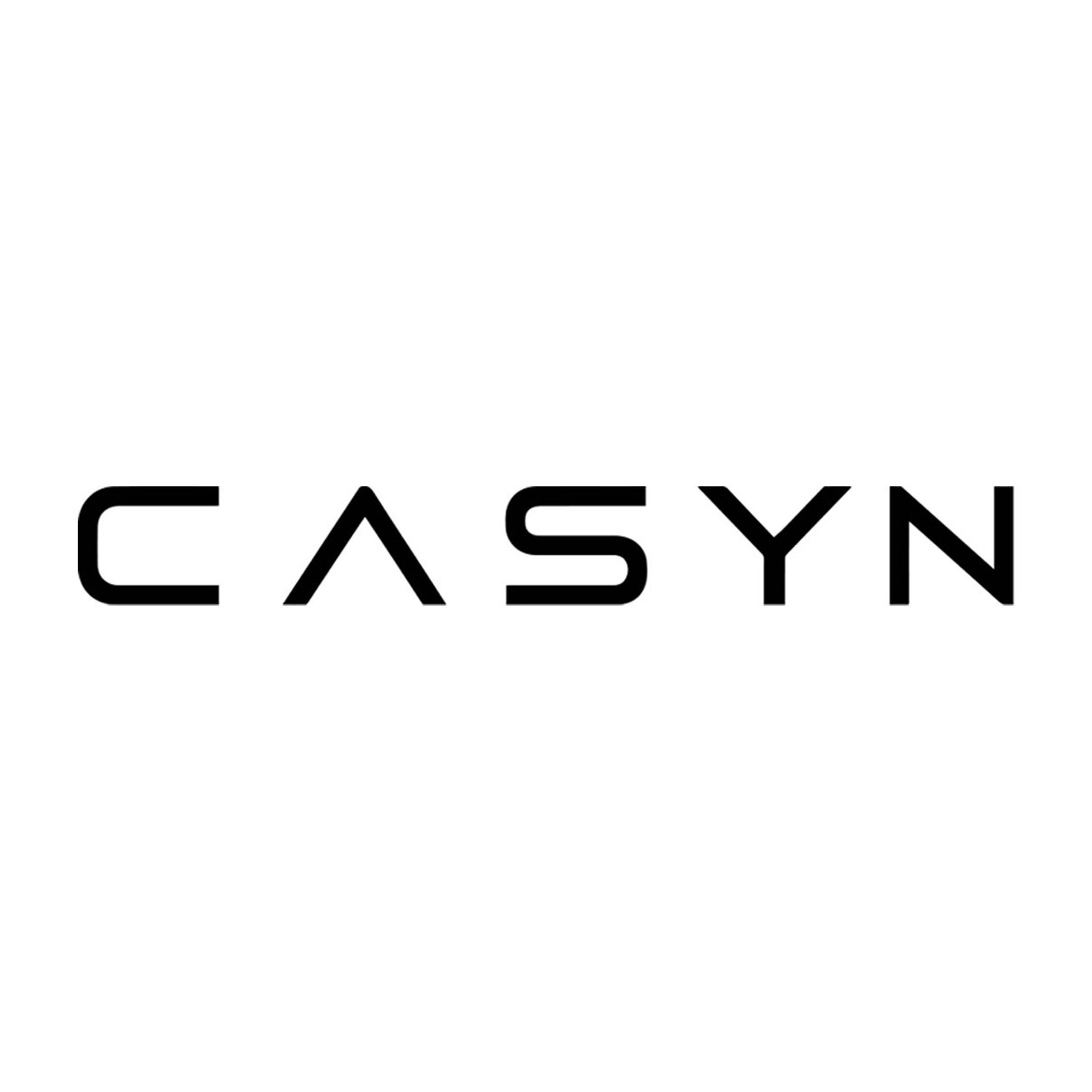 CASYN 潘大大的壳