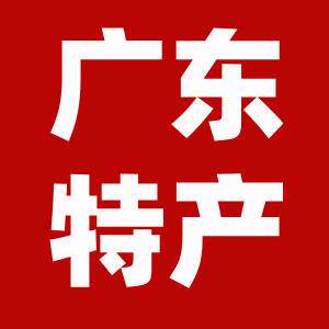 广东绿色食品特产店