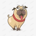 勿忘爱宠  生产厂家  批发可议价