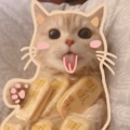 招财ou有钱猫