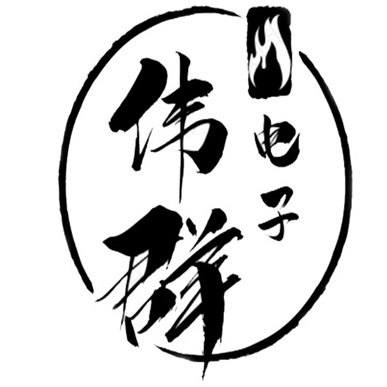伟群电子