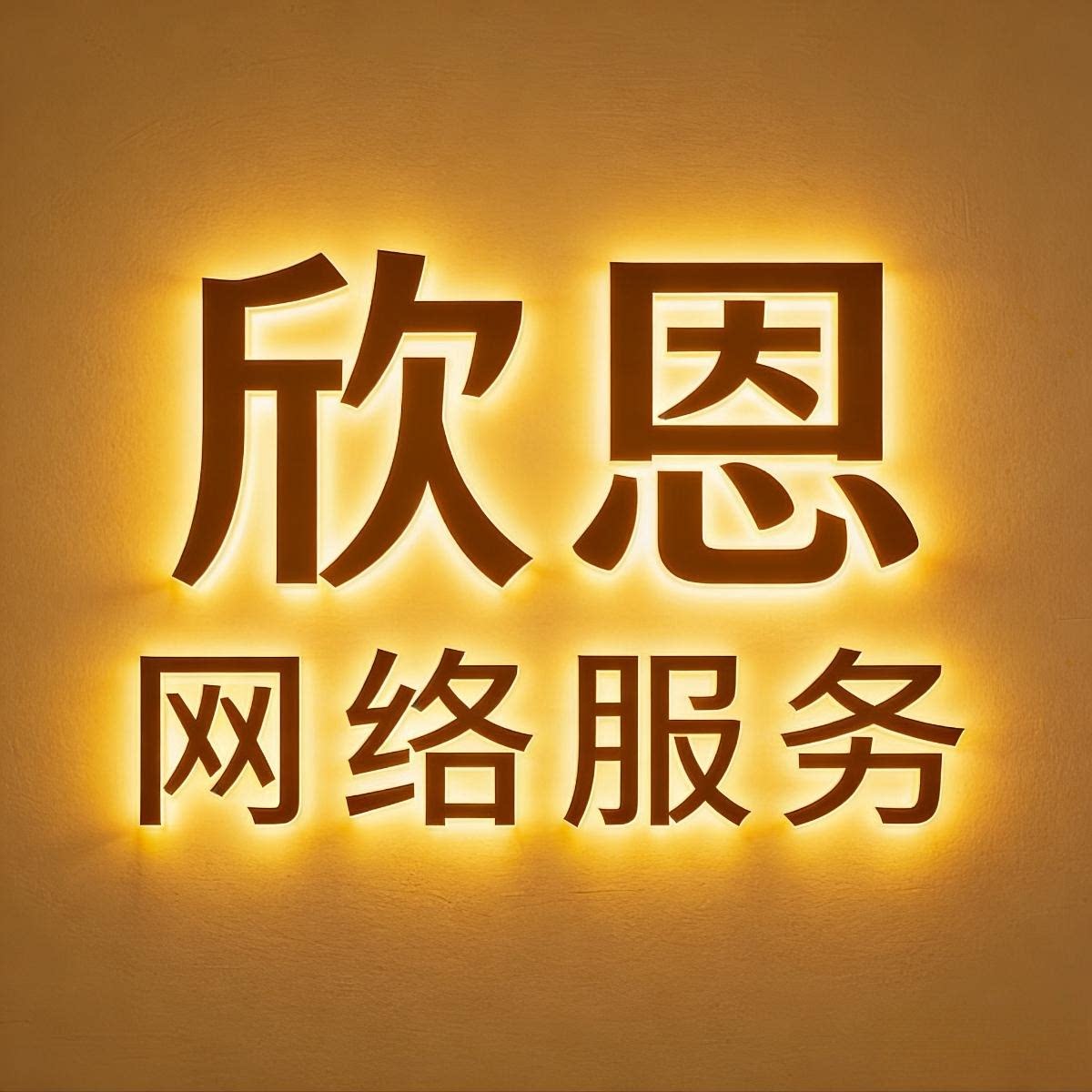 欣恩网络服务