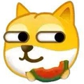 自媒体运营陪跑