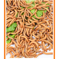 湘潭养殖场 店铺LOGO