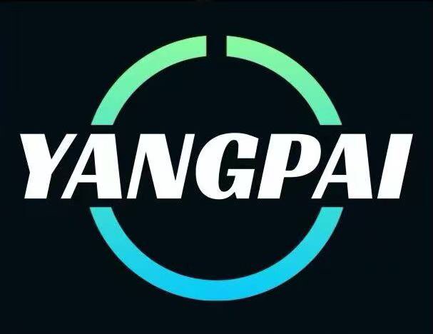 扬派科技 店铺LOGO