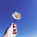 百誉数码