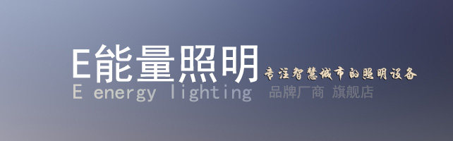 深圳市伊能量照明有限公司