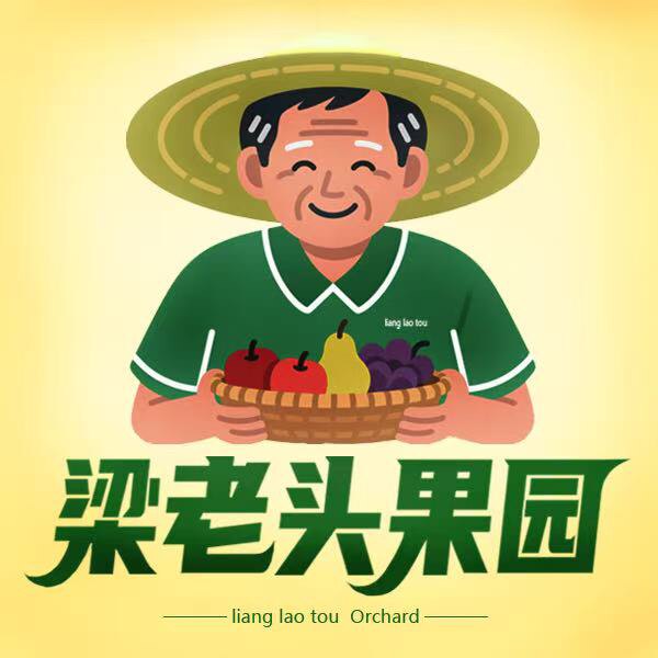 梁老头果园企业店