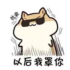 我罩你吧2号店