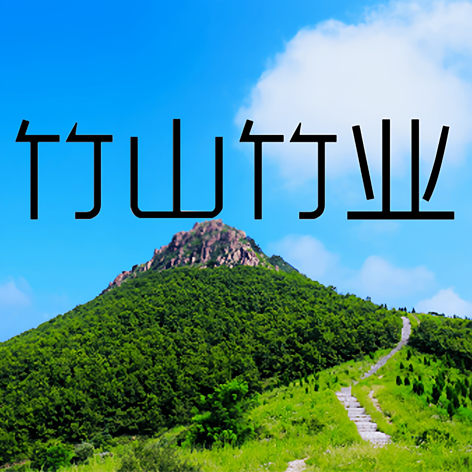 竹山竹业