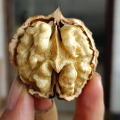 土山货铺