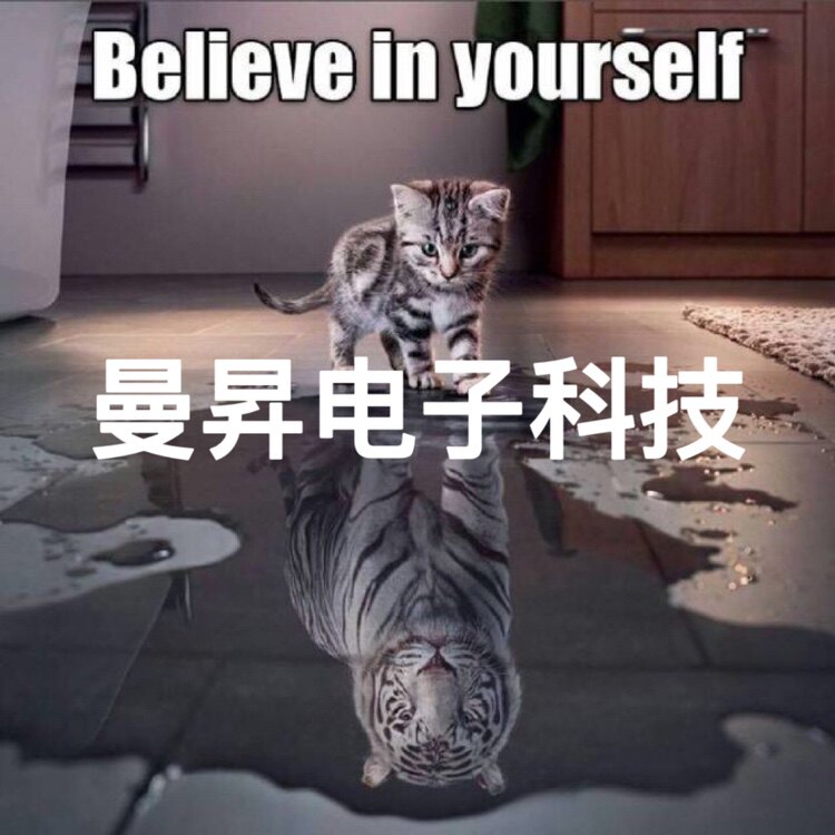 曼昇电子店
