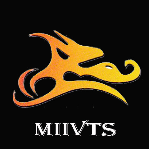MIIVTS鞋类企业店 店铺LOGO